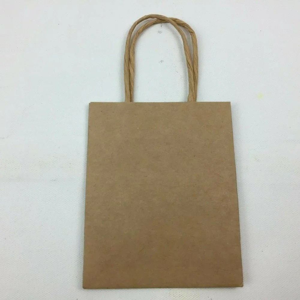Brown Paper Gift Bag Present Wrapping Shopping Handles Set Of 2 4.5